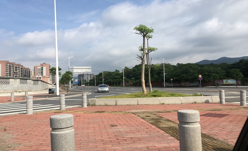 하노이 카지노